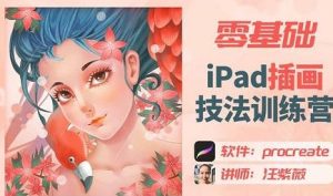 汪紫薇零基础IPAD插画技法实训2022年【共1.73 GB】