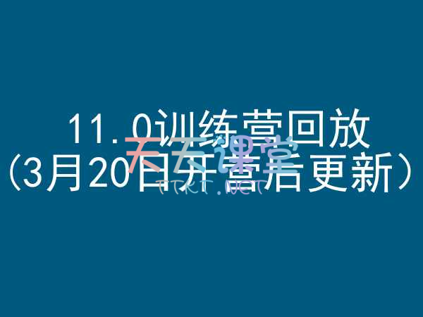 大卫外贸跨境电商-11.0训练营回放