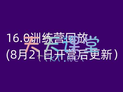 大卫外贸·16.0训练营（8月21日开营）-AI建站教程-AI独立站跨境电商