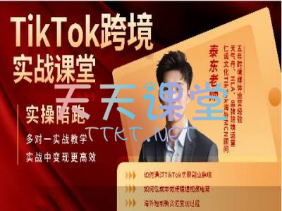 泰东老师·TikTok跨境电商实战课程-海外跨境电商实操陪跑