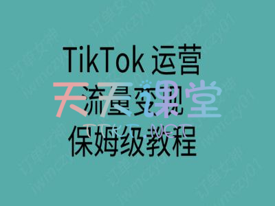 订单女神·tiktok运营流量变现保姆级教程-跨境电商课程