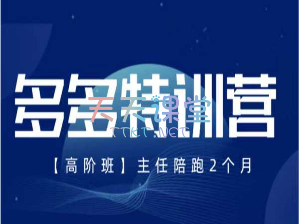 发宝电商·多多特训营2025年版-纪主任拼多多教程