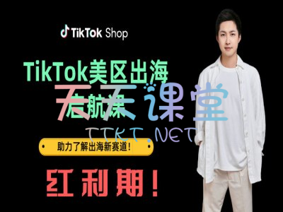 大王真·TikTok出海启航课（美区）-TikTok电商教程