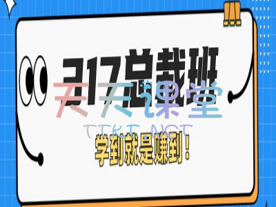发宝电商·317总裁班-拼多多教程25年新课