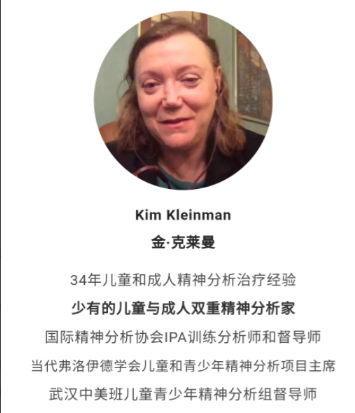 Kim讲发展心理学如何指导心理咨询和儿童养育（十三讲） 视频+音频+文字稿【共：4.28 GB】