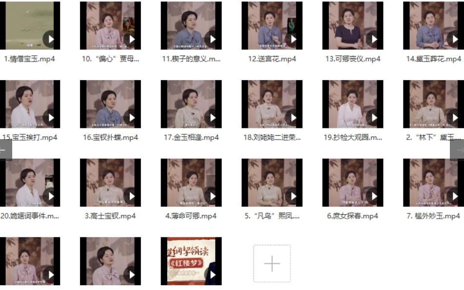 蔡丹君老师《提纲挈领读红楼梦》【共5.56 GB】