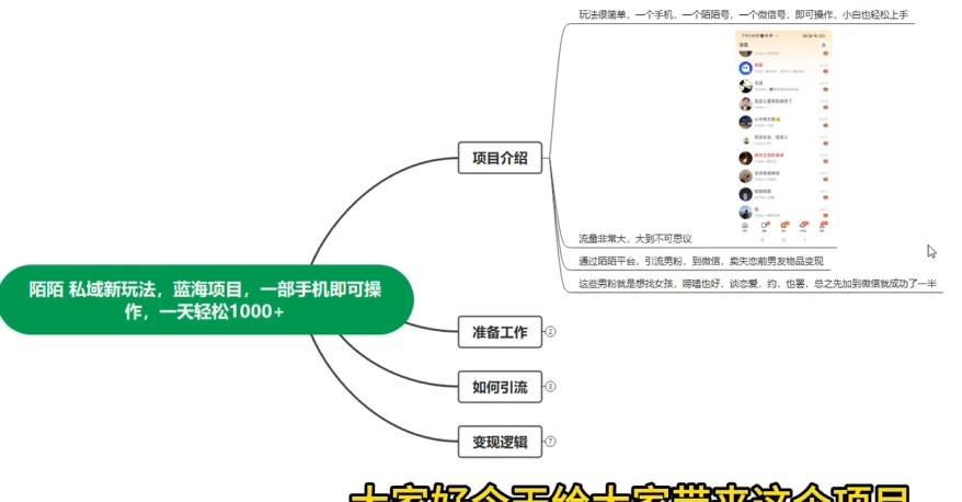 暴力项目，正在红利期，陌陌私域新玩法，一部手机日入2000+很轻松