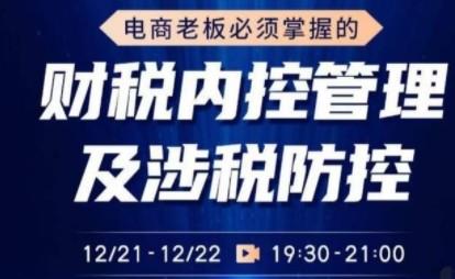 电商老板必须掌握的财税内控管理及涉税防控，解读新政下的税收政策，梳理公司财务架构【共727 MB】