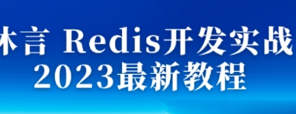 沐言 Redis开发实战 2023最新教程【共16.5 GB】
