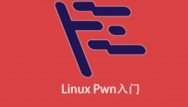 Linux Pwn入门【共829 MB】