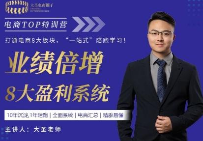 大圣老师–电商TOP特训营业绩倍增:八大赚钱系统