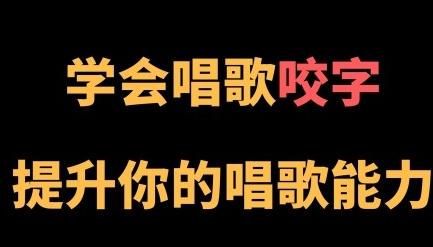 王乙婷C系列养成科学的唱歌咬字【共12.8 GB】