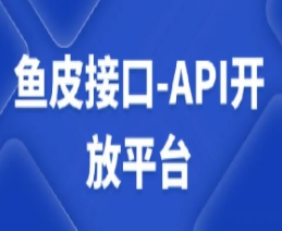 鱼皮接口-API开放平台视频课程【共26.1 GB】