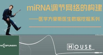 数据挖掘—miRNA调节网络的构建【共2.07 GB】