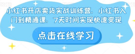 小红书开店卖货实战训练营，小红书入门到精通课，7天时间实现快速变现