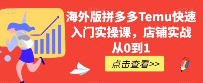 海外版拼多多Temu快速入门实操课，店铺实战从0到1