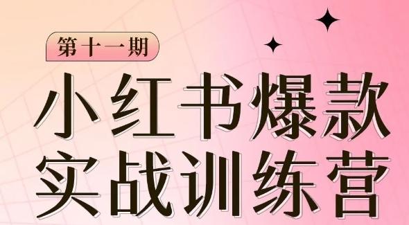 小红书博主爆款训练营第11期，手把手教你从0-1做小红书，从定位到起号到变现