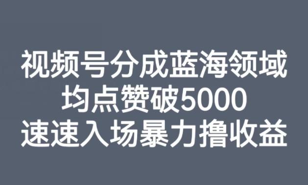 视频号分成蓝海领域，均点赞破5000，速速入场暴力撸收益