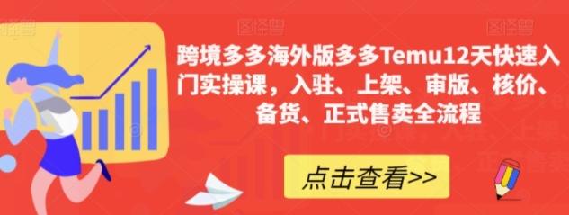 跨境多多海外版多多Temu12天快速入门实操课，入驻、上架、审版、核价、备货、正式售卖全流程