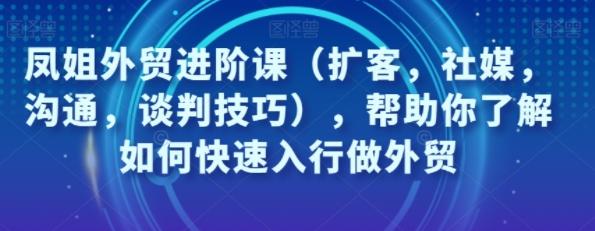 凤姐外贸进阶课（扩客，社媒，沟通，谈判技巧），帮助你了解如何快速入行做外贸