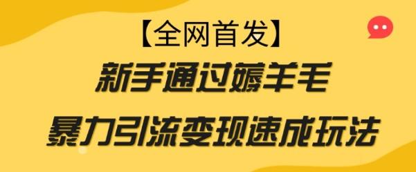 【全网首发】新手通过薅羊毛暴力引流变现速成玩法