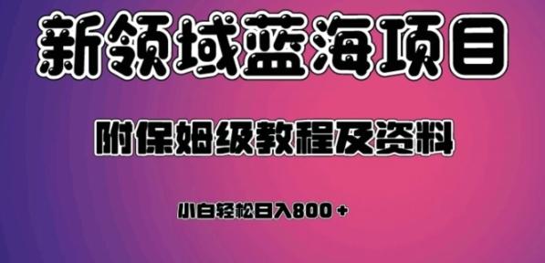 虚拟资源蓝海领域新项目，轻松日入800＋，附保姆级教程及资料