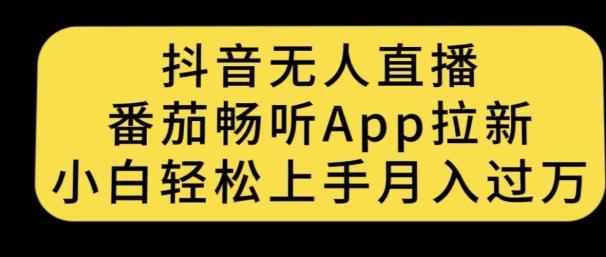 抖音无人直播，番茄畅听APP拉新，小白轻松上手月入过万