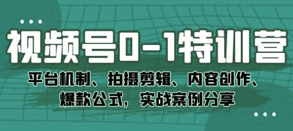 视频号0-1特训营：平台机制、拍摄剪辑、内容创作、爆款公式，实战案例分享