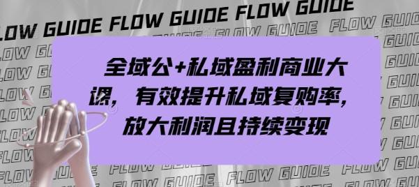 全域公+私域盈利商业大课，有效提升私域复购率，放大利润且持续变现