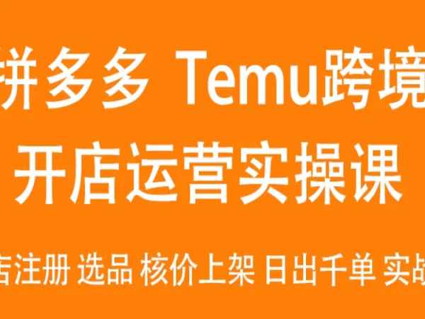 跨境老鱼·跨境拼多多·Temu最新玩法-Temu开店运营实操课【2023打包下载】