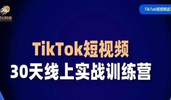 大玩家·TikTok短视频30天线上实战训练营