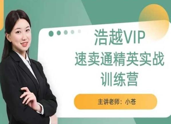 号越教育·浩越VIP速卖通精英实战训练营